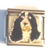 Springer Spaniel Italian Charm image