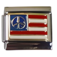 USA Peace Flag Italian Charm image