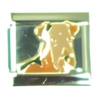 Airdale Terrier Italian Charm image