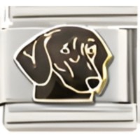 Dachshund Dog Italian Charm image