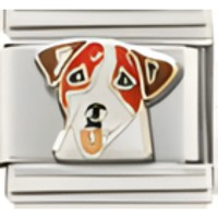 Jack Russell Terrier Dog Italian Charm image