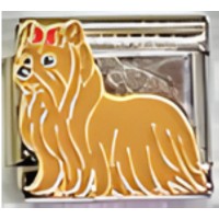 Yorkshire Terrier Dog Italian Charm image