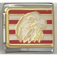 Eagle Head on Stripes Italian Charm image