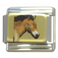 Horse Photo Italian Charm image