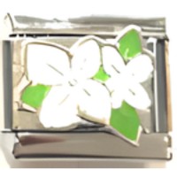 Plumeria Flowers on Blue Italian Charm image