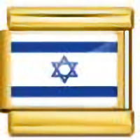 Israel Flag on Gold Link Italian Charm
