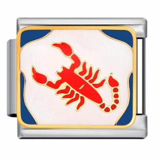 Scorpio Zodiac Italian Charm 3