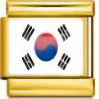 South Korea Flag on Gold Link Italian Charm