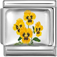 Pansy Flowers Italian Charm