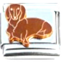 Dachshund Dog Brown Italian Charm