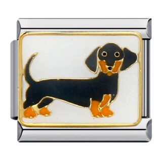 Dachshund Dog  Italian Charm